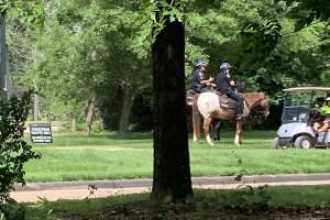 GALERIA PARQUES/PARQUE-9.jpg