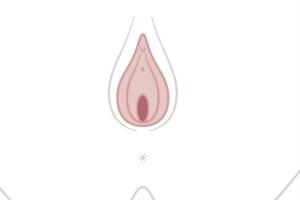 cancer-feminino-vulva.jpg