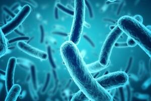 Bacterias