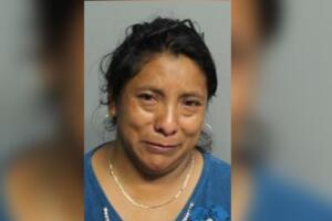 Juana Pérez-Domingo