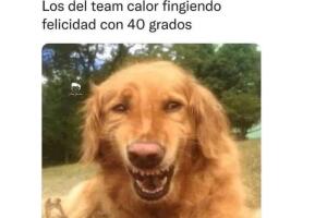 Defiende tu postura hasta el final 