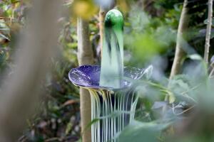 Gamrath Glass Flowers Pittsburgh