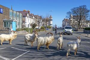 APTOPIX Virus Outbreak Britain