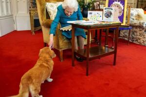 La reina Isabel II junto a uno de sus perros (2022)