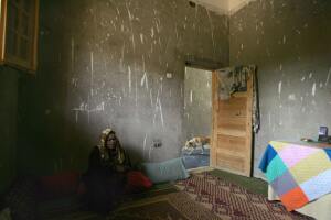 salud oms enfermedades