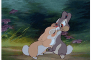 Tambor, conejo de 'Bambie'