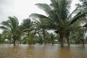 Heavy Rains Cause Flooding On Oahu