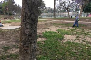 Parques de la MS-13 en Los Ángeles