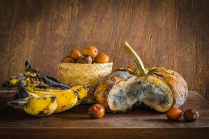 ¡Limpia y energiza tu casa, atrae todo lo bueno!