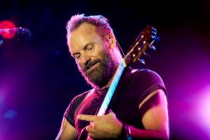 Sting