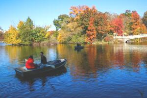 Fall Colors Envelop Central Park As Trees Change Colors During Autumn