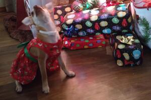 Joana Rodríguez .jpg