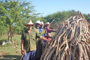 Marabu brigada_carbon