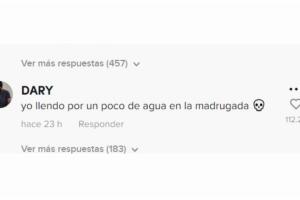 Usuarios de TikTok opinan del video del perro que camina en dos patas.jpg