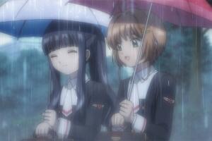 ccs-4.jpg