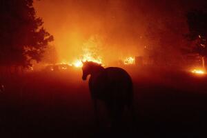 California Wildfires