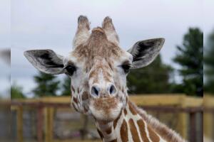 BeFunky-design (70).jpg