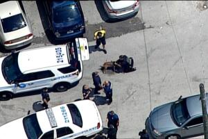 Culmina persecución policial en Miami