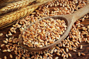 farinha-de-gluten-dieta-2.jpg