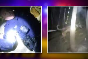 Figor perro policía 