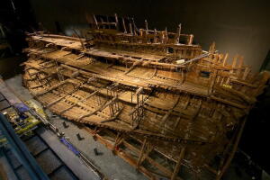 Mary Rose