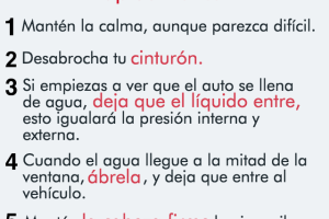 Qué hacer si te quedas atrapado en un carro