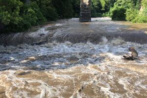 RIO SCHUKLIL /IMG_4573.JPG