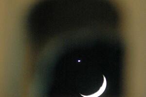 The 'lunar occultation of Venus' is visi