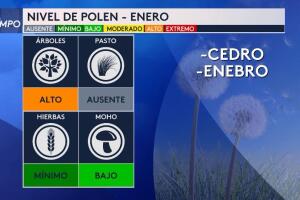 Fiebre del cedro Texas