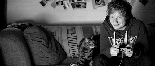Ed Sheeran juega con su gato