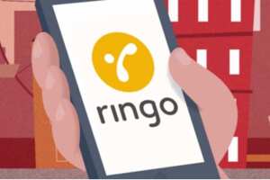 ringo-div.jpg