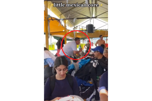 tiktok_tianguis_harry_styles