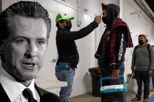 Newsom hispanics.png