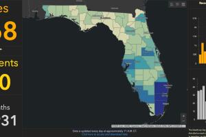 autoridades domingo/dash.jpg