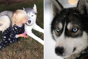 Niña con problemas de lenguaje logra tener una “conversación” increíble con su perrito