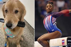Él es Beacon, el perrito que ayuda a las gimnastas a calmar su estrés en los Juegos Olímpicos
