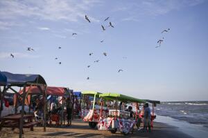 AMN-GEN MEXICO-PLAYA BAGDAD