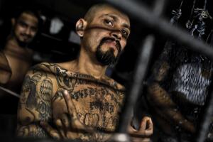 MS-13 photos