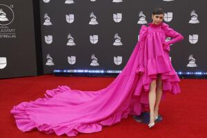20th Annual Latin GRAMMY Awards - Arrivals