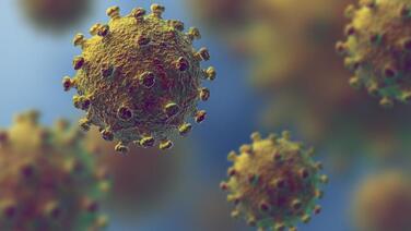 The sickly 2020; when normal became fatal