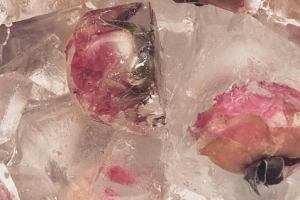 kim tercer baby 02.PNG