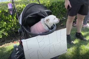 Goatie acompañó a un joven ciudadano que protestaba por sus padres, ambos inmigrantes.