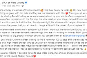 Refugio de animales actualizó el estado de Ronald en Facebook