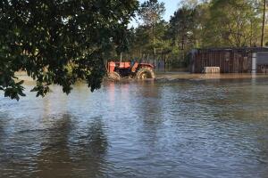 Deweyville, Texas se encuentra bajo el agua