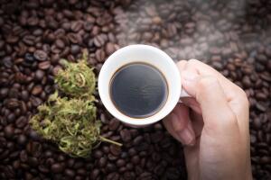 Café y marihuana