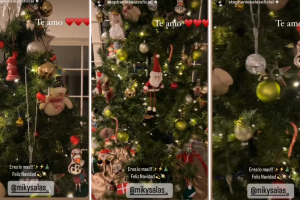 El árbol de Navidad que decoraron Humberto Zurita y Stephanie Salas.png