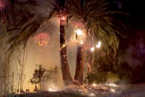 Trees on fire are seen during wildfires in San Bernardino, California