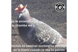 memes-trabajo (8).png