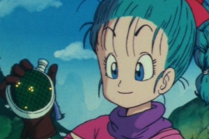 bulma.png