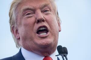 Las estrellas de telenovela van contra Donald Trump